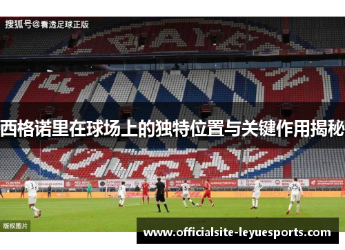 西格诺里在球场上的独特位置与关键作用揭秘 西格诺里在球场上的独特位置与关键作用揭秘