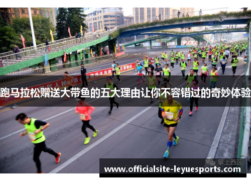 跑马拉松赠送大带鱼的五大理由让你不容错过的奇妙体验 跑马拉松赠送大带鱼的五大理由让你不容错过的奇妙体验