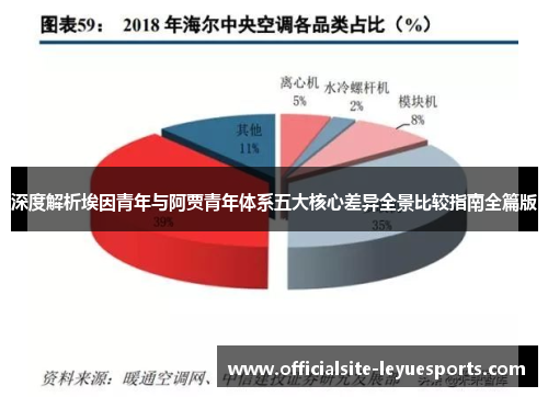 深度解析埃因青年与阿贾青年体系五大核心差异全景比较指南全篇版 深度解析埃因青年与阿贾青年体系五大核心差异全景比较指南全篇版