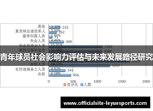 青年球员社会影响力评估与未来发展路径研究